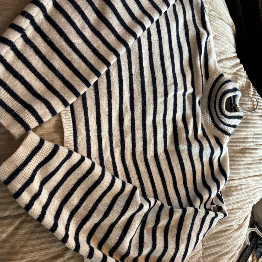 Cider Striped Turtleneck Sweater in Black and Cream